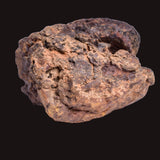 WOLF CREEK SHALE BALL METEORITE MT158