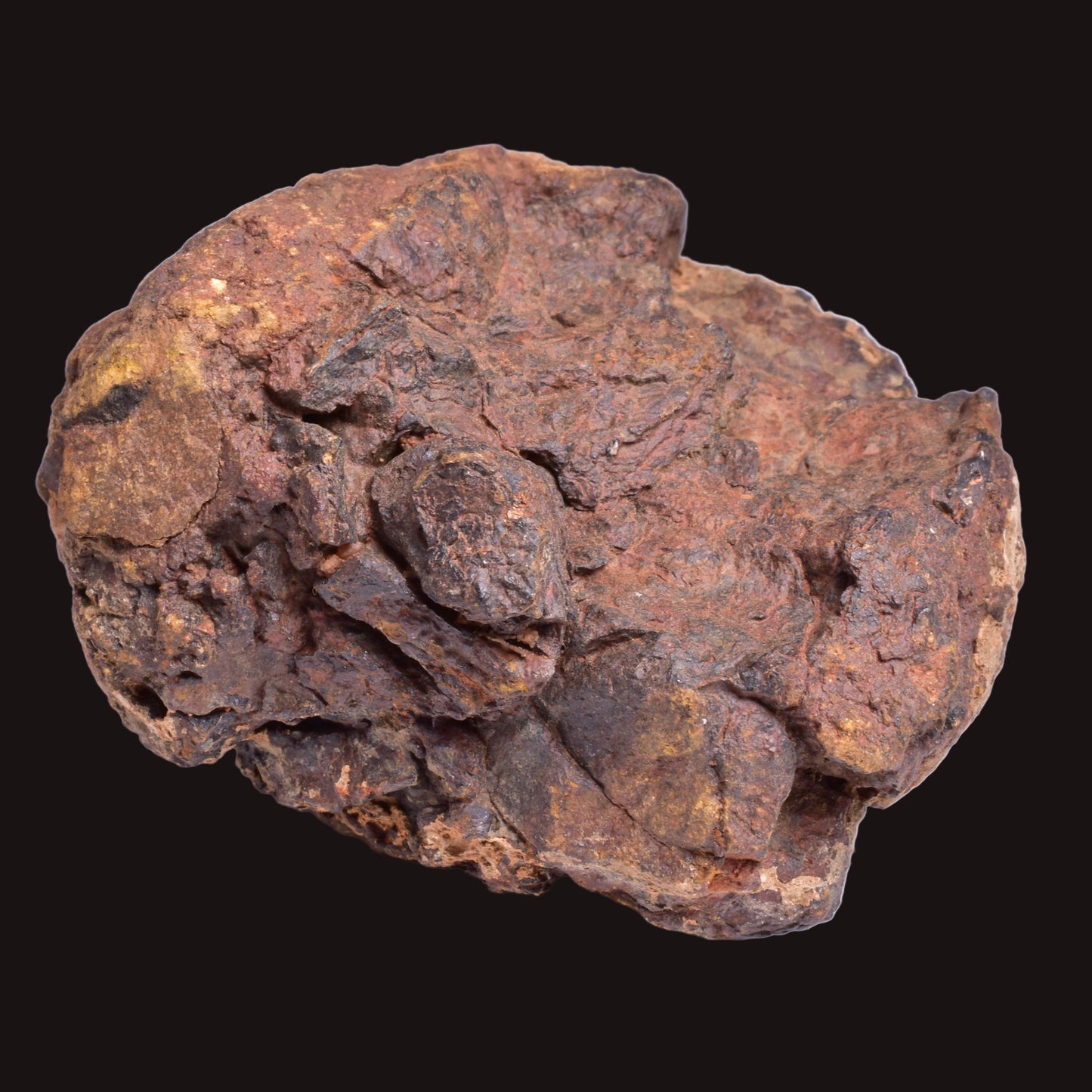 WOLF CREEK SHALE BALL METEORITE MT158