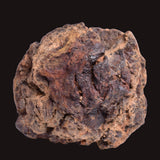WOLF CREEK SHALE BALL METEORITE MT158