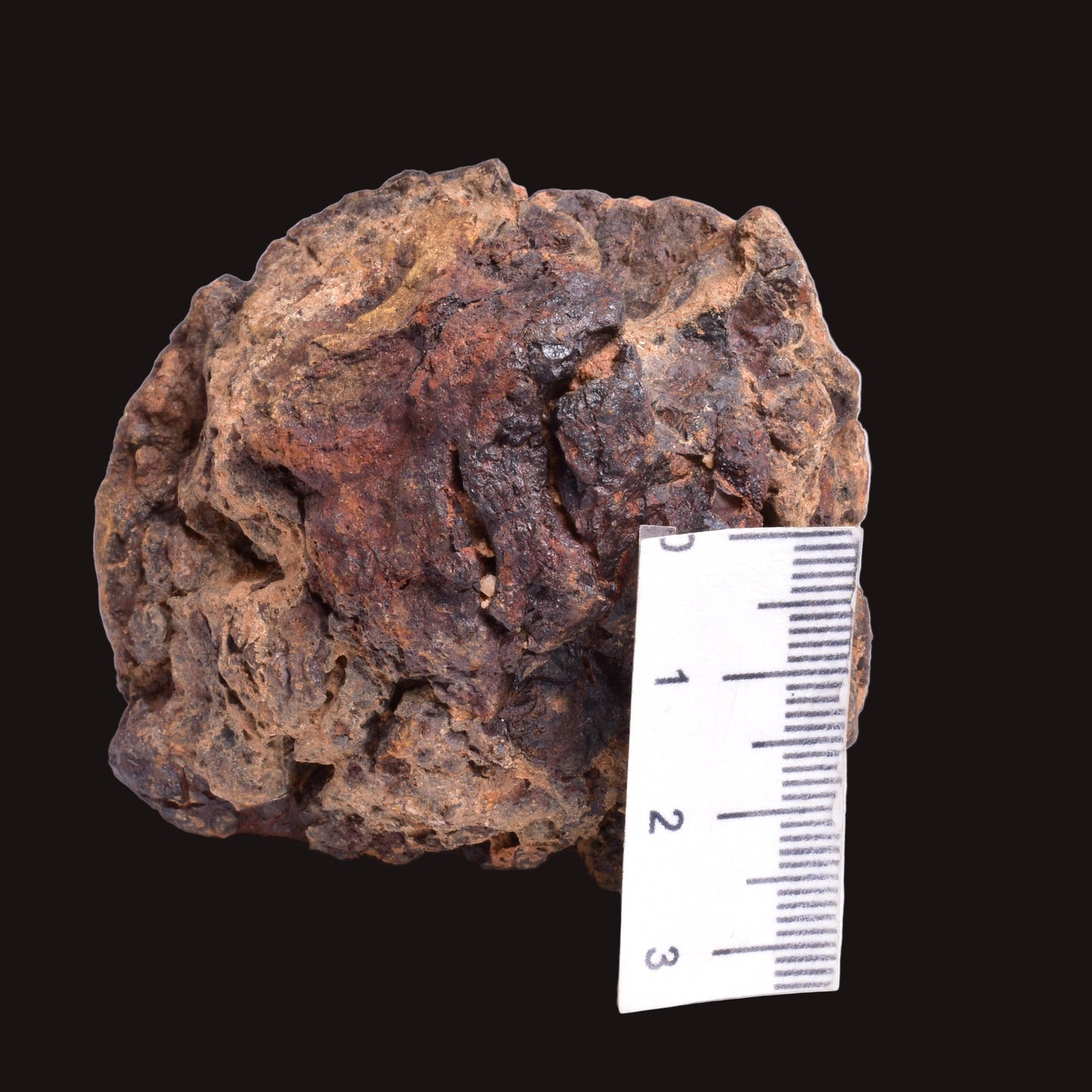 WOLF CREEK SHALE BALL METEORITE MT158