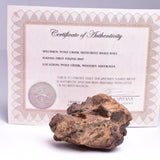 WOLF CREEK SHALE BALL METEORITE MT158