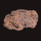WOLF CREEK SHALE BALL METEORITE MT121