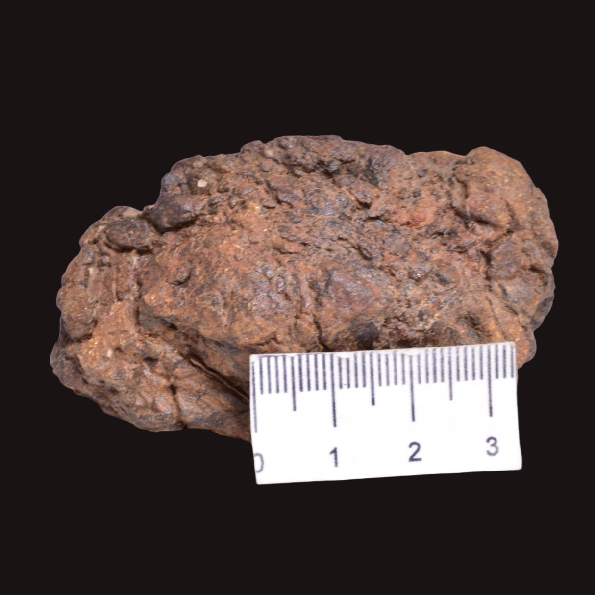 WOLF CREEK SHALE BALL METEORITE MT121