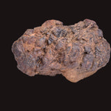 WOLF CREEK SHALE BALL METEORITE MT121