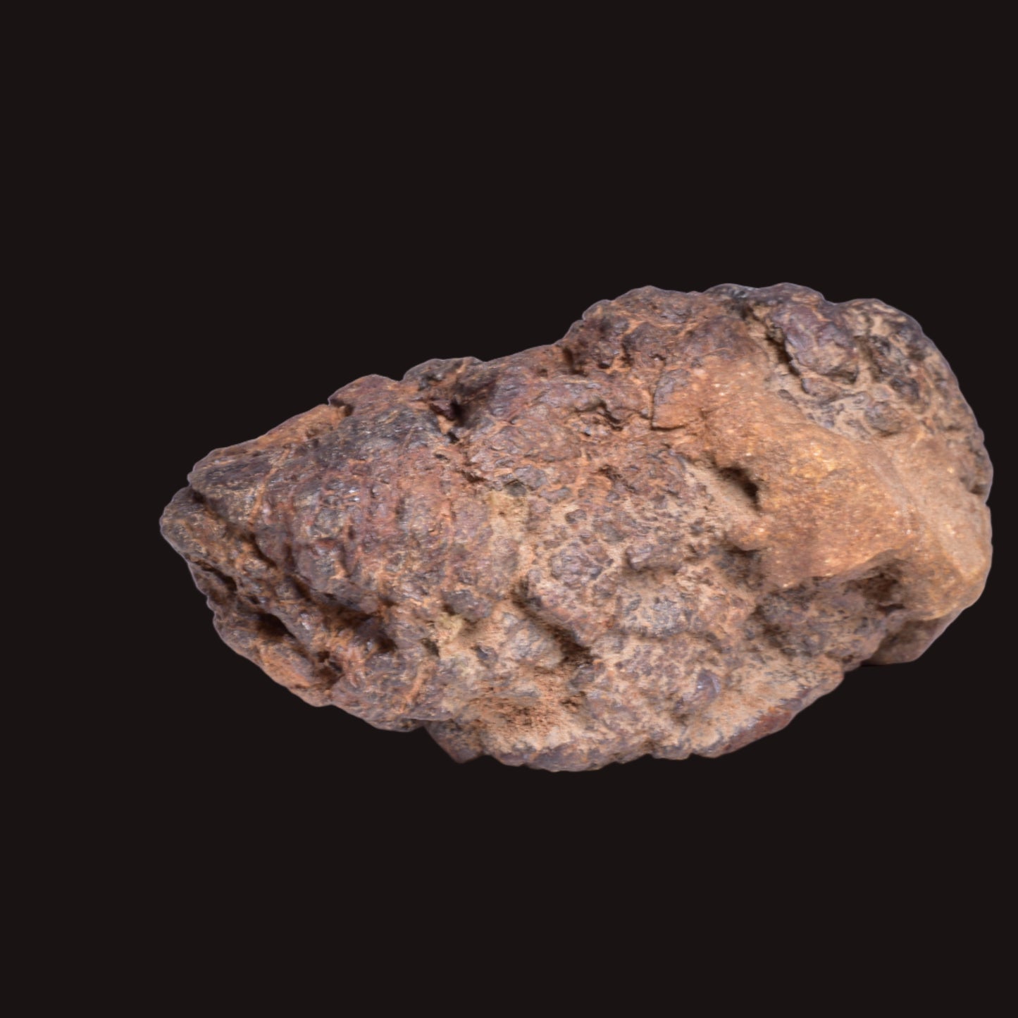 WOLF CREEK SHALE BALL METEORITE MT121