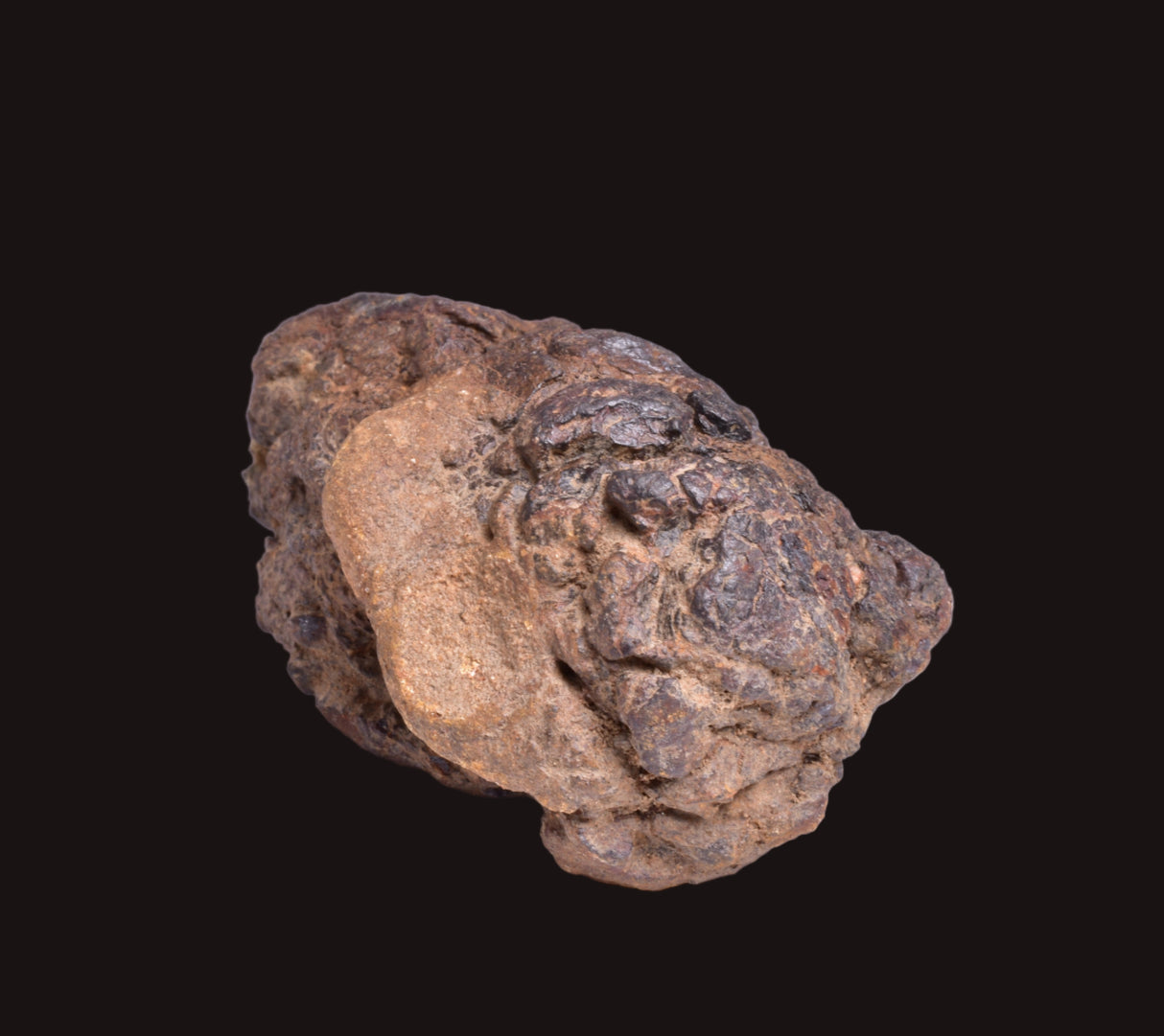 WOLF CREEK SHALE BALL METEORITE MT121