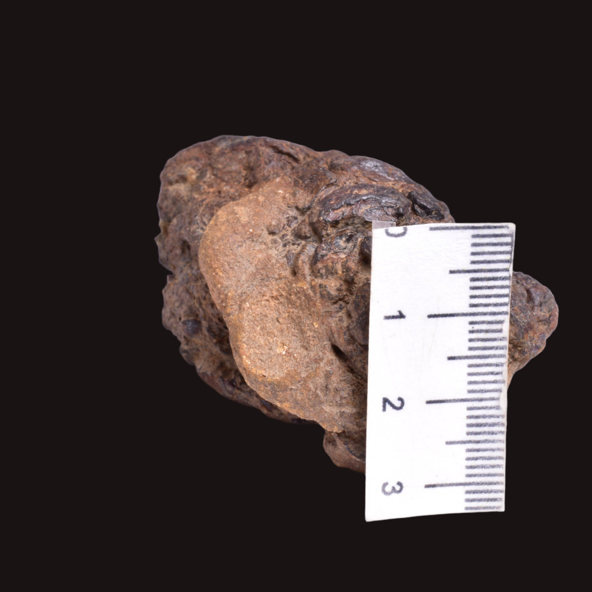 WOLF CREEK SHALE BALL METEORITE MT121