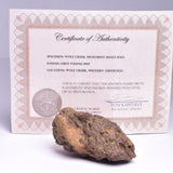 WOLF CREEK SHALE BALL METEORITE MT121