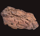 WOLF CREEK SHALE BALL METEORITE MT122
