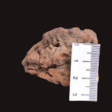 WOLF CREEK SHALE BALL METEORITE MT157