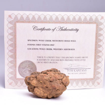 WOLF CREEK SHALE BALL METEORITE MT157