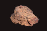 WOLF CREEK SHALE BALL METEORITE MT157