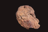 WOLF CREEK SHALE BALL METEORITE MT157