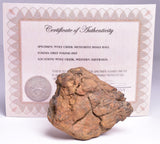 WOLF CREEK SHALE BALL METEORITE MT122