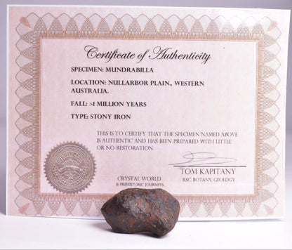 MUNDRABILLA IRON METEORITE, Western Australia MT42