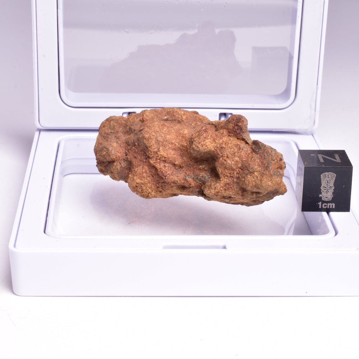 WOLF CREEK SHALE BALL METEORITE MT123