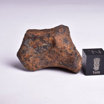 MUNDRABILLA IRON METEORITE, Western Australia MT44