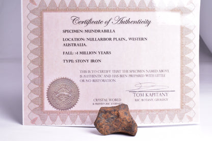 MUNDRABILLA IRON METEORITE, Western Australia MT44