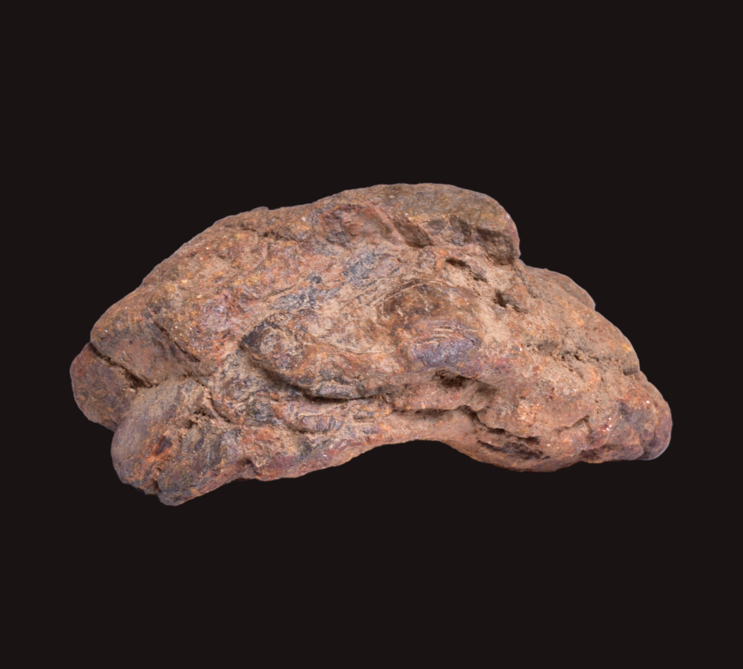 WOLF CREEK SHALE BALL METEORITE MT125