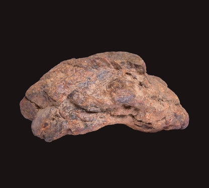 WOLF CREEK SHALE BALL METEORITE MT125