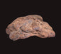 WOLF CREEK SHALE BALL METEORITE MT125