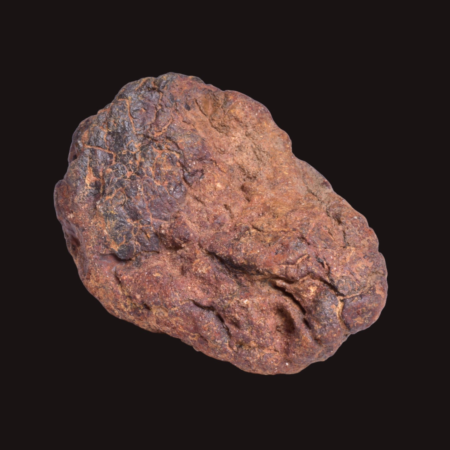 WOLF CREEK SHALE BALL METEORITE MT125