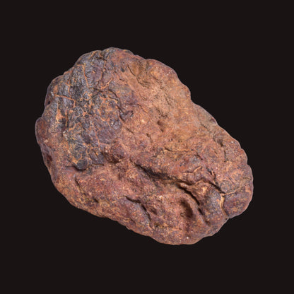 WOLF CREEK SHALE BALL METEORITE MT125