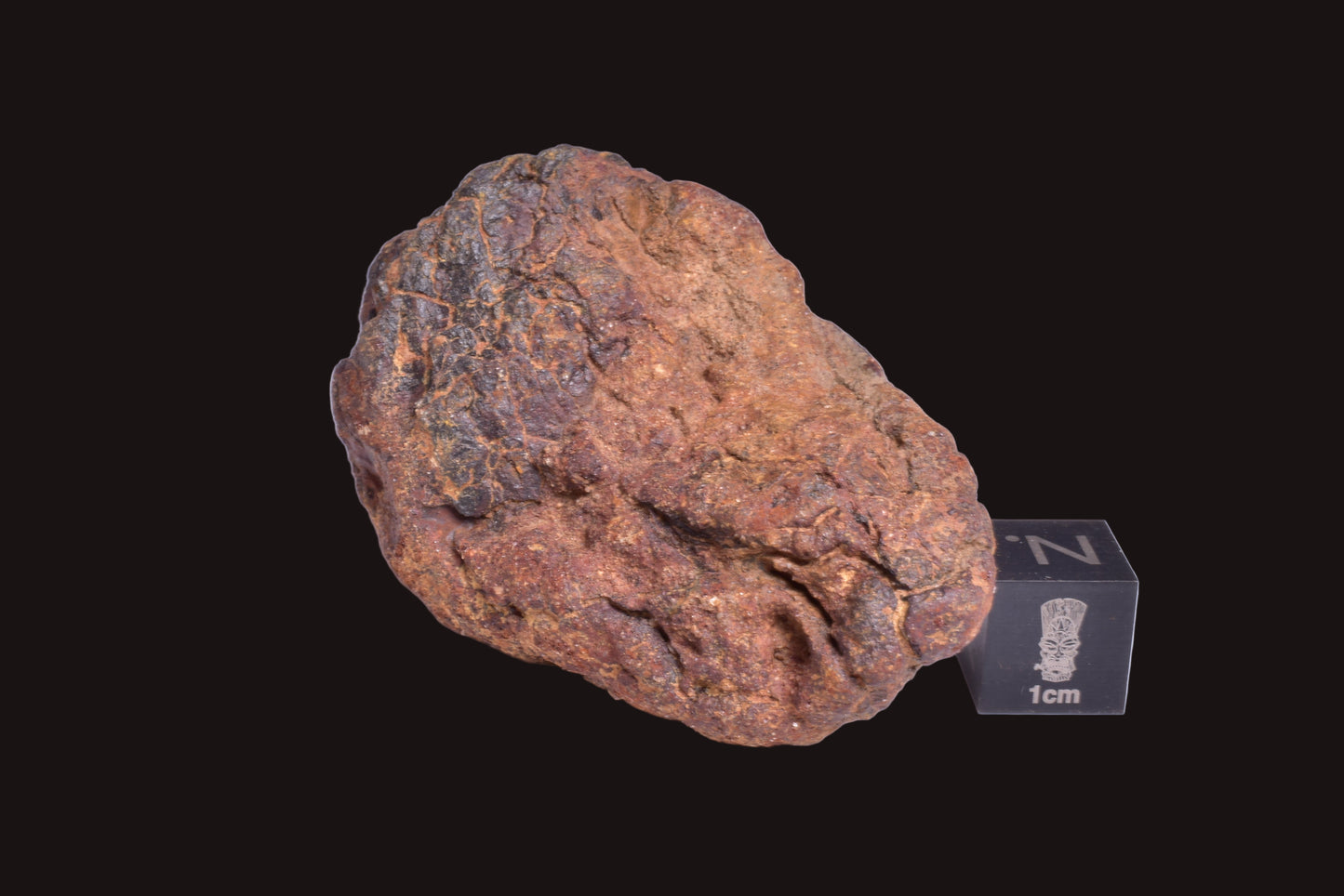 WOLF CREEK SHALE BALL METEORITE MT125
