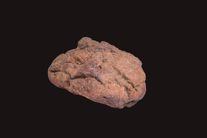 WOLF CREEK SHALE BALL METEORITE MT125