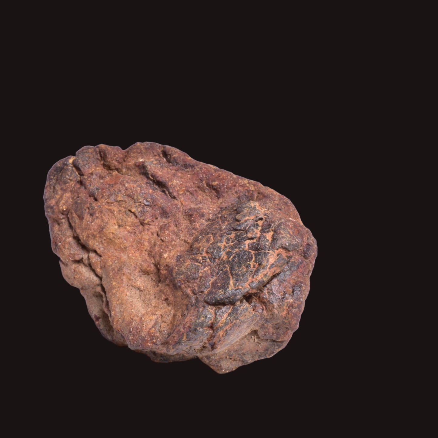 WOLF CREEK SHALE BALL METEORITE MT125