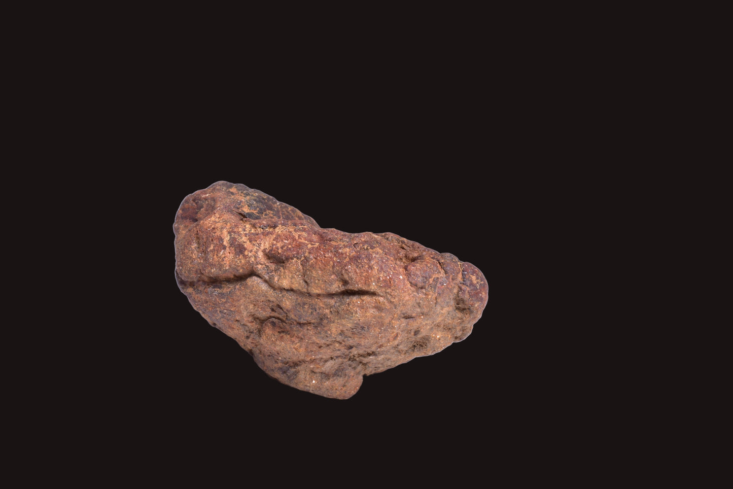 WOLF CREEK SHALE BALL METEORITE MT125