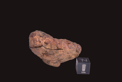 WOLF CREEK SHALE BALL METEORITE MT125