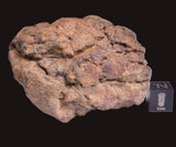 WOLF CREEK SHALE BALL METEORITE MT128