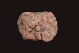 WOLF CREEK SHALE BALL METEORITE MT128