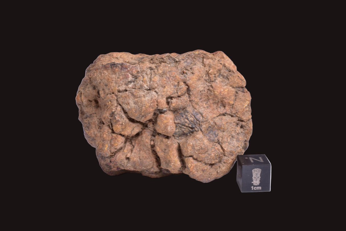 WOLF CREEK SHALE BALL METEORITE MT128