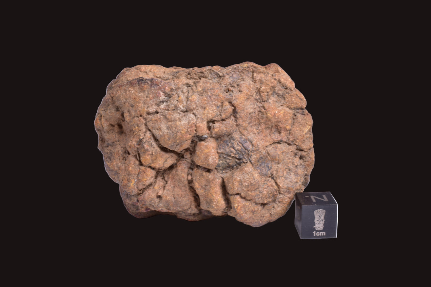 WOLF CREEK SHALE BALL METEORITE MT128