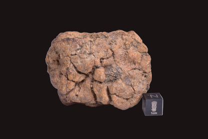 WOLF CREEK SHALE BALL METEORITE MT128