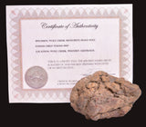 WOLF CREEK SHALE BALL METEORITE MT128