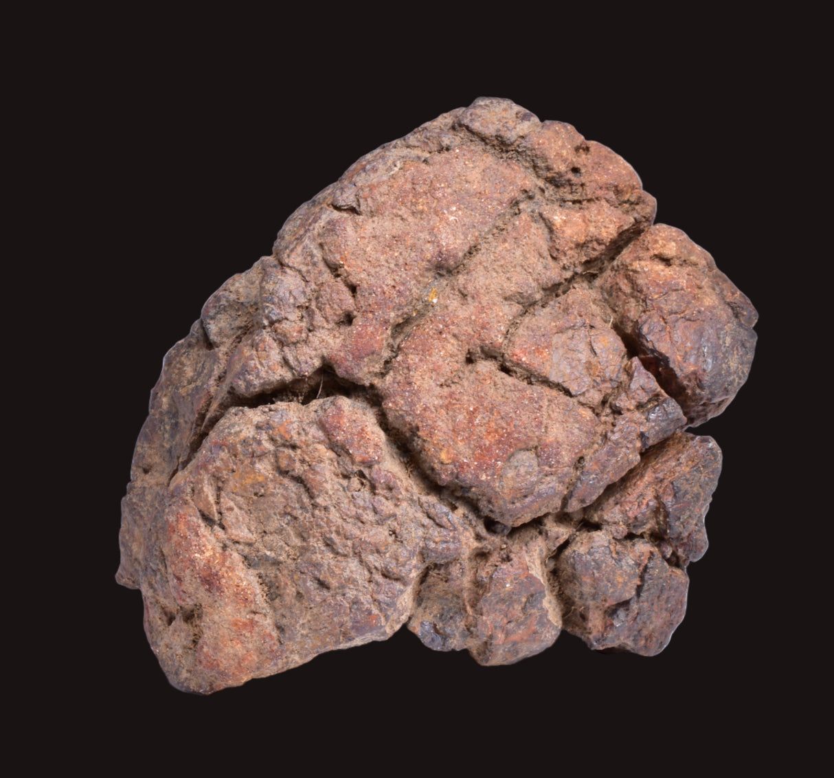 WOLF CREEK SHALE BALL METEORITE MT134