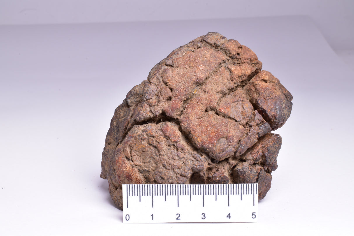 WOLF CREEK SHALE BALL METEORITE MT134