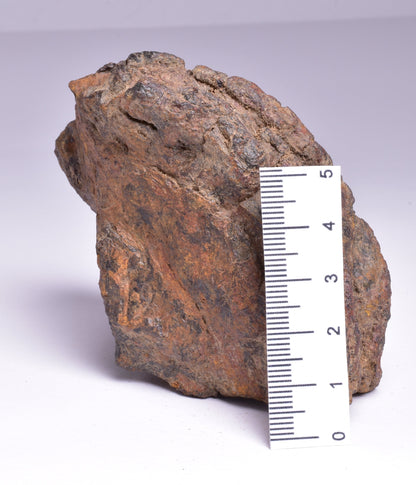 WOLF CREEK SHALE BALL METEORITE MT134
