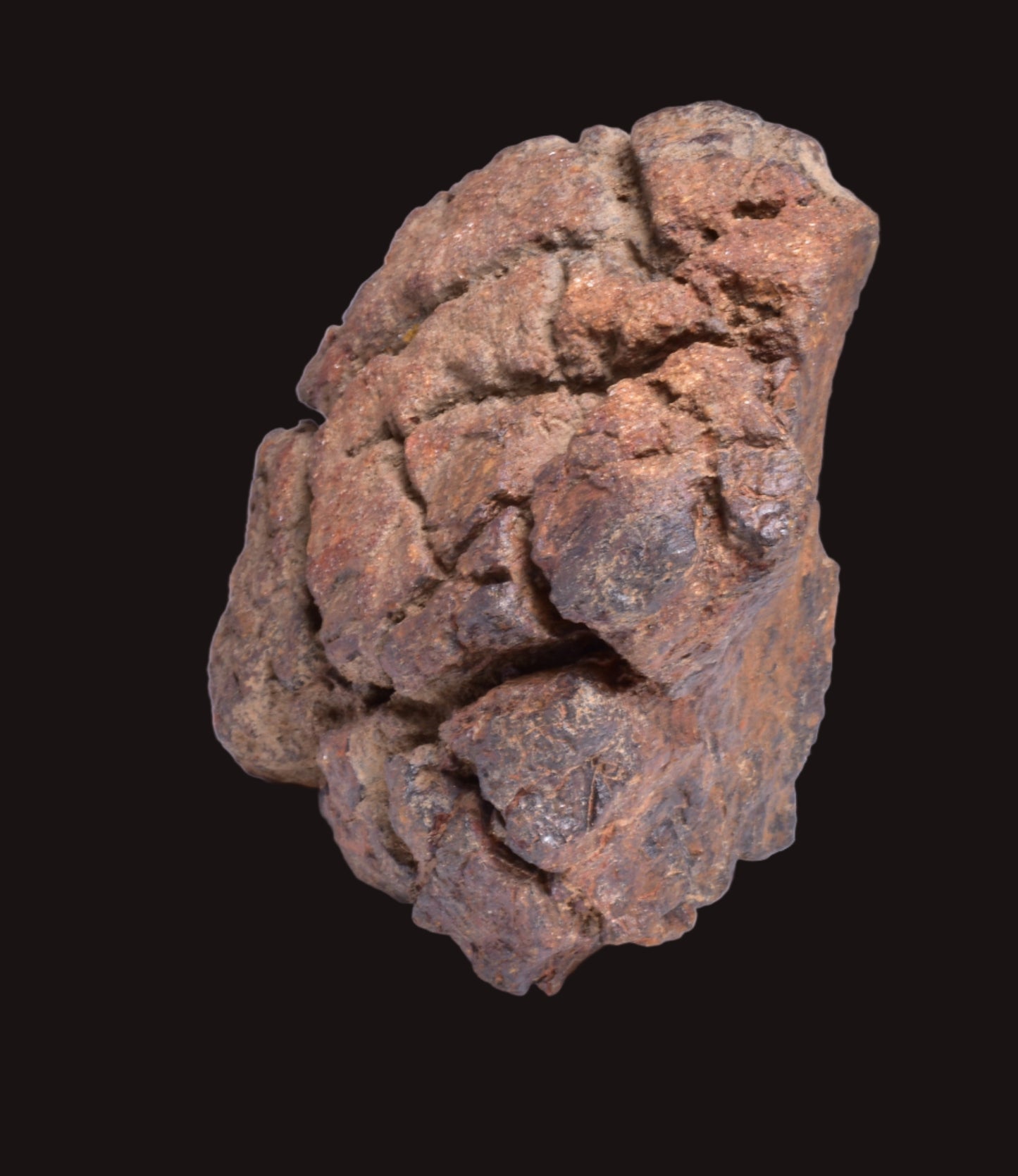 WOLF CREEK SHALE BALL METEORITE MT134