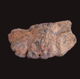 WOLF CREEK SHALE BALL METEORITE MT134