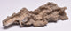 Fulgurite Lightning Strike Glass
