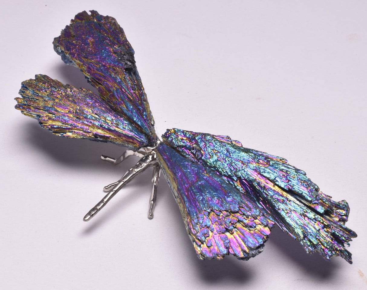 TITANIUM AURA KYANITE DRAGONFLY P545