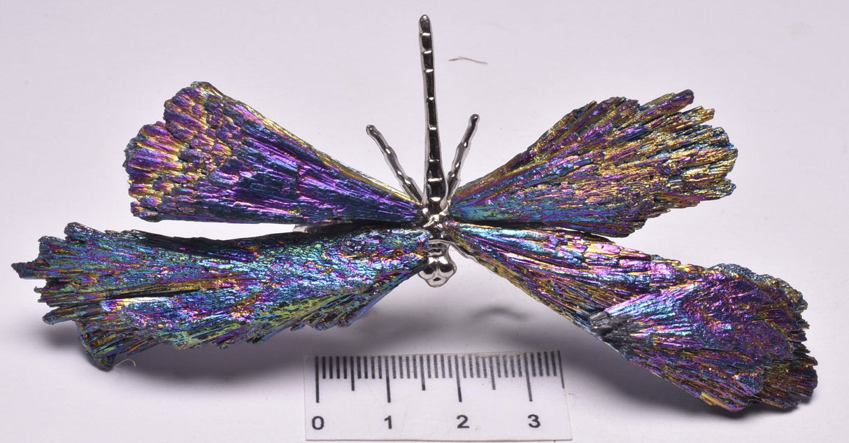 TITANIUM AURA KYANITE DRAGONFLY P545