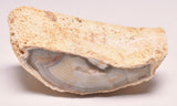 AGATE CREEK, Polished AGATE, AUSTRALIA P2000