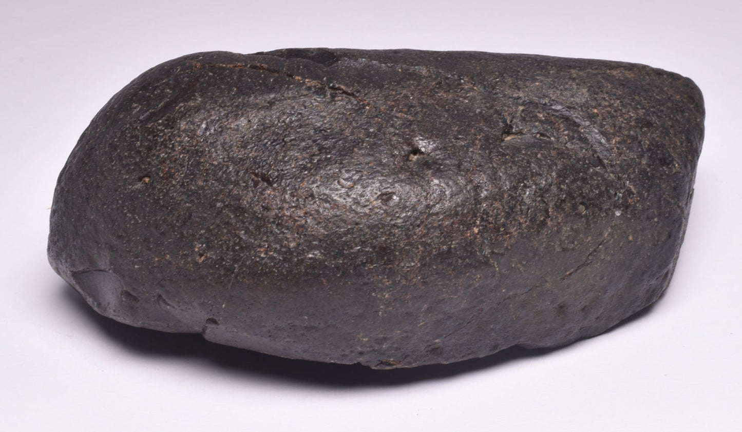 WHALE EAR BONE FOSSIL, Miocene, North Port Carolina, USA F22