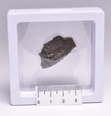 DARWIN GLASS, Meteorite Impact melt, AUSTRALIA MT75