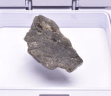 DARWIN GLASS, Meteorite Impact melt, AUSTRALIA MT75
